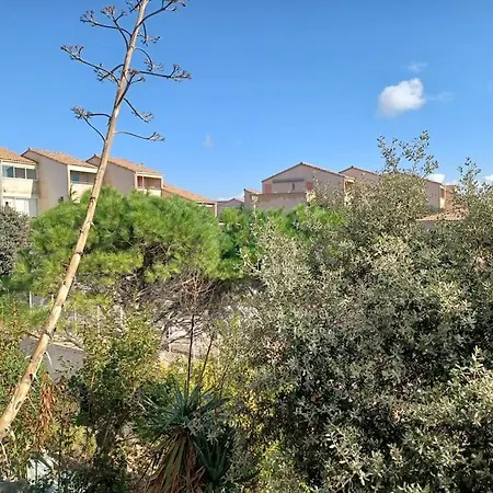 Apartment Plain-pied, Terrasse, Piscine, Pleine Vue Mer, A 6' A Pied, Parking, Wifi *
